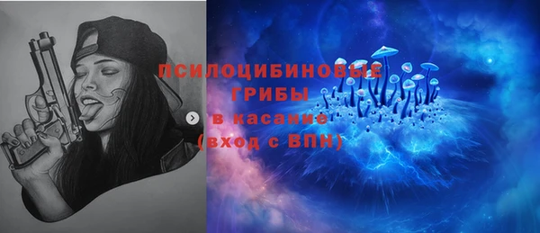 тгк Алексеевка
