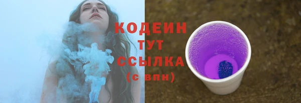 МДПВ Мегион