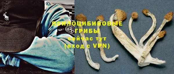 MDMA Premium VHQ Медвежьегорск