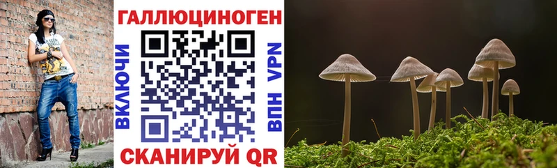kraken зеркало  Артёмовск  Псилоцибиновые грибы MAGIC MUSHROOMS 